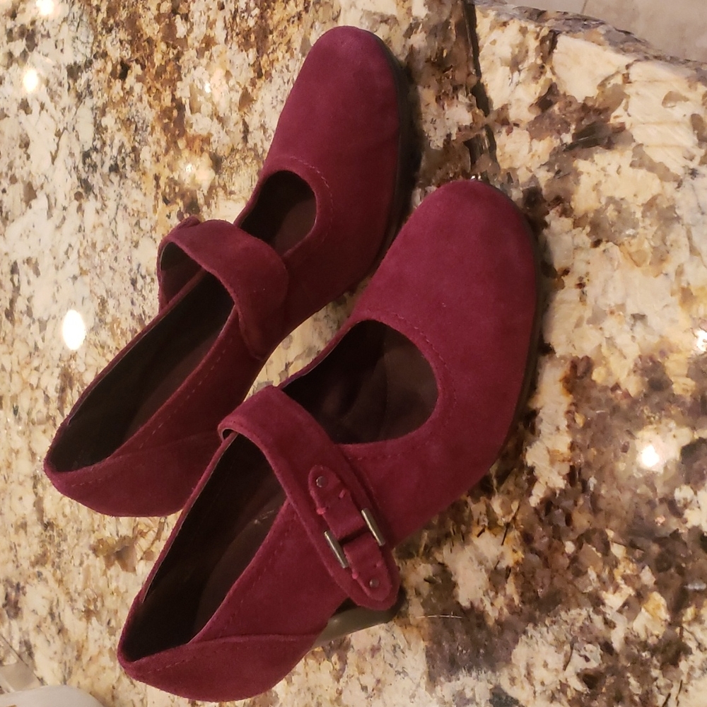 Beautiful Aerosolea